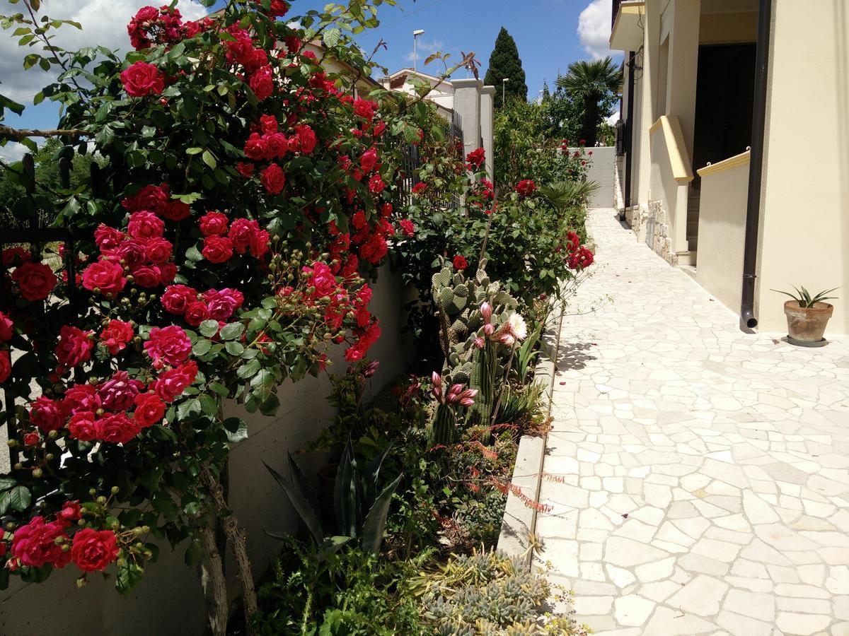B&B Green Da Maria Ματέρα Εξωτερικό φωτογραφία