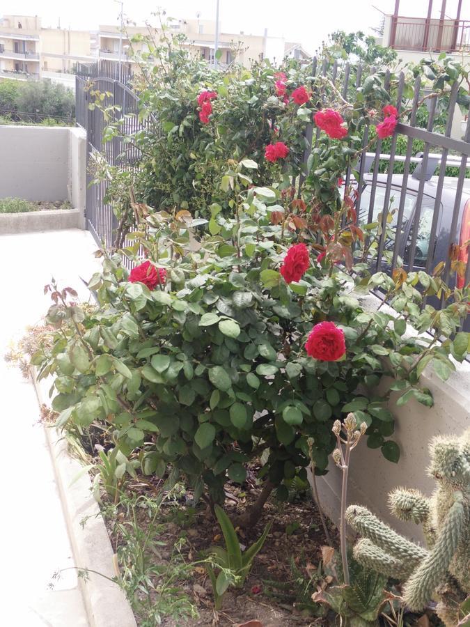 B&B Green Da Maria Ματέρα Εξωτερικό φωτογραφία