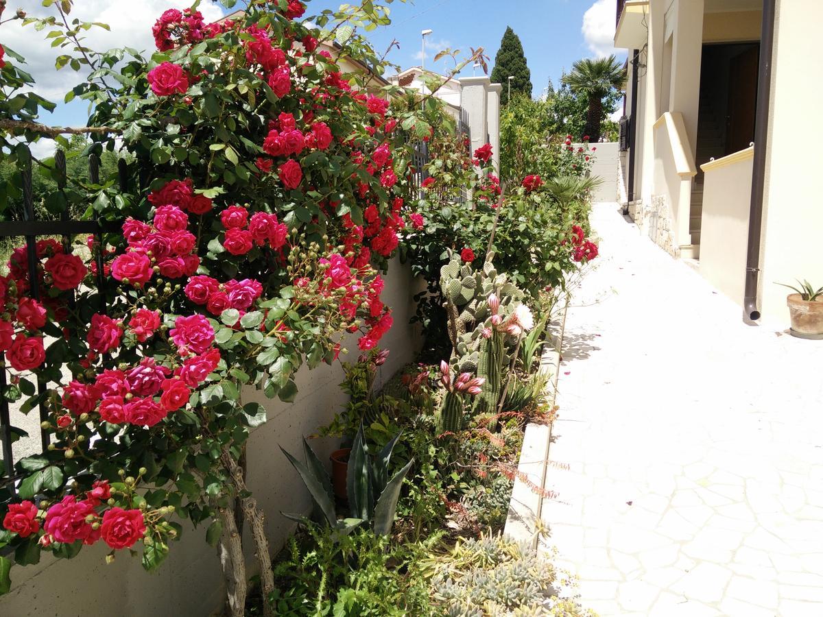 B&B Green Da Maria Ματέρα Εξωτερικό φωτογραφία